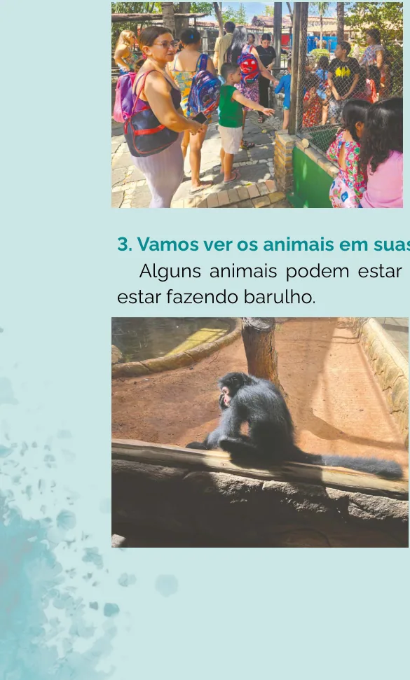 Fotografias da história social: crianças chegando ao zoológico junto a um recinto com grade, e um macaco observado de perto em seu recinto